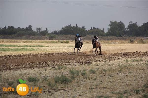 khoyoul lud 0610 (2).JPG